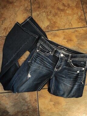 Express Dark Blue Distressed Wide Leg Jeans